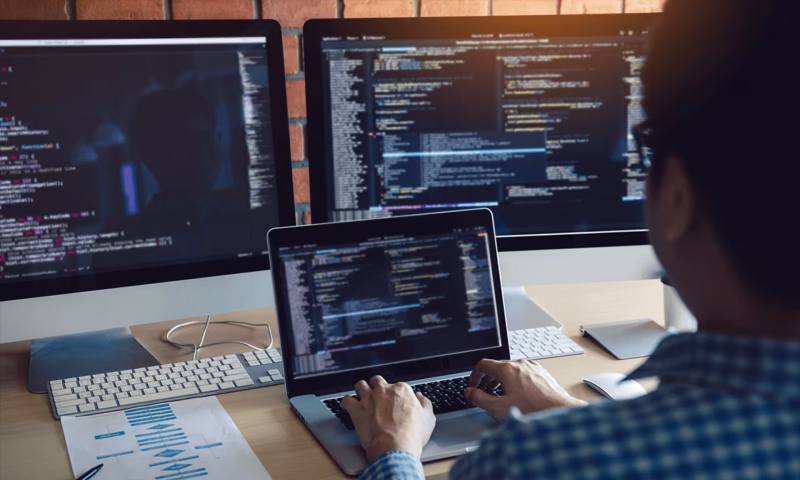 数据科学选型：R与Python如何赋能金平区网站建设？